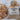 Rustic French Boule Bread Mix by Dr. Pete’s