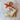 Dr. Pete’s Southern Biscuit Mix
