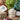 Chelsea Gardens Butter Bell Crock gift set with sage blossom honey, rosemary peppermint goat milk soap, and rosemary garlic bread mix